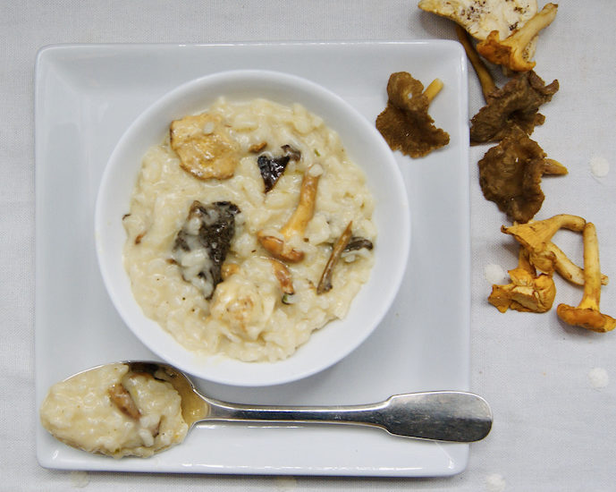 Risotto aux champignons des bois