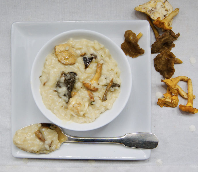Risotto aux champignons des bois