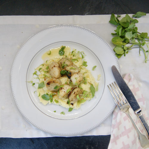 Purée au beurre noisette, noix de Saint Jacques et boudin blanc