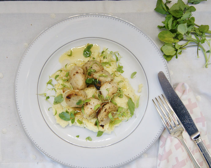 Purée au beurre noisette, noix de Saint Jacques et boudin blanc