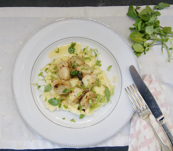 Purée au beurre noisette, noix de Saint Jacques et boudin blanc
