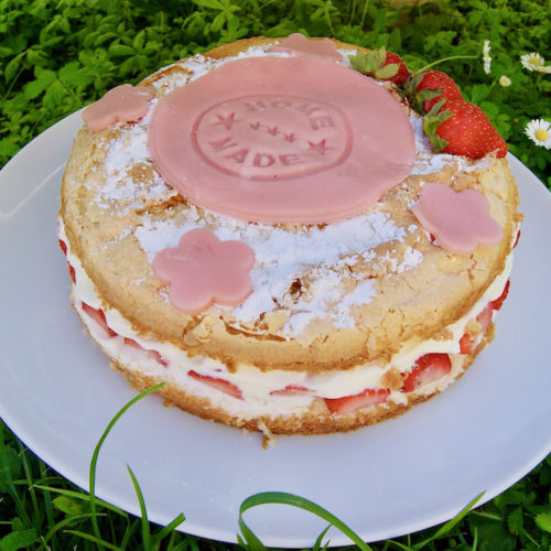 Fraisier pas compliqué