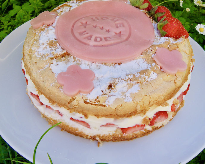 Fraisier pas compliqué