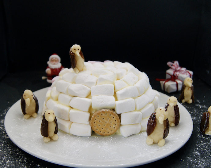 Igloo de Noël