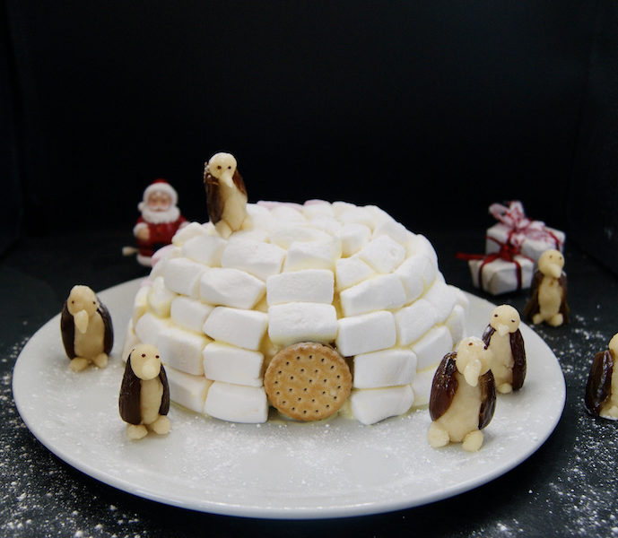 Igloo de Noël
