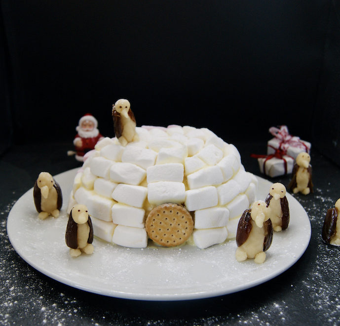 Igloo de Noël